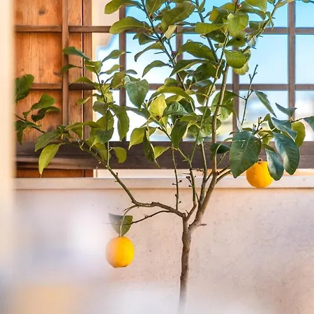 Апартаменты Flat Gentile, Sorrento, Floor 2br Flat, Balcony